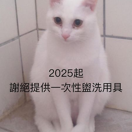 Appartamento 貓居 Ocean House Dahan Esterno foto